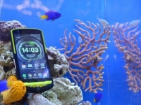 Kyocera Torque G02 – смартфон для подводной связи  - изображение