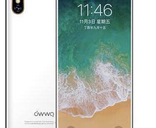 Owwo X - очередной клон iPhone X по цене в $235 - изображение