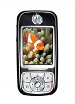 Фото Motorola A732