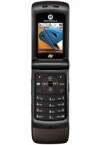 Фото Motorola W385