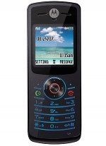 Фото Motorola W175