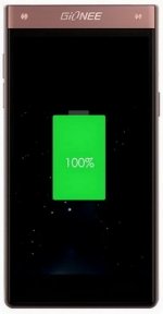 Фото Gionee W909