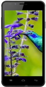 Фото Intex Aqua Lions E3