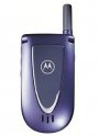 Фото Motorola V66i