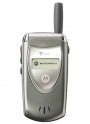 Фото Motorola v60t