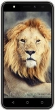 Фото Intex Aqua Lions T1