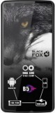 Фото Black Fox B5 BMM531A