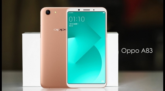 Обзор OPPO A83 - бюджетный телефон с большим экраном - изображение